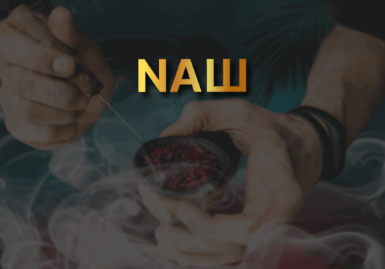 NАШ