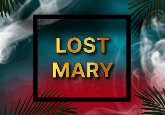 LOST MARY